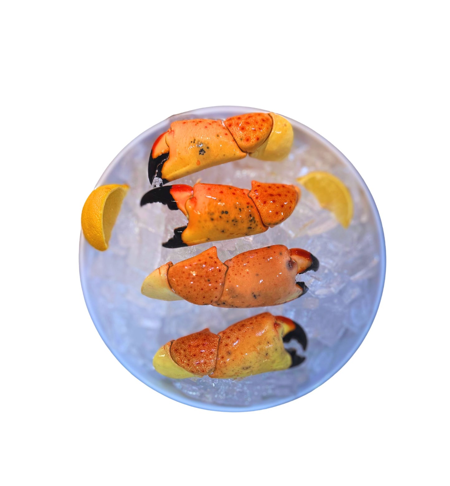 Large Stone Crab Claws