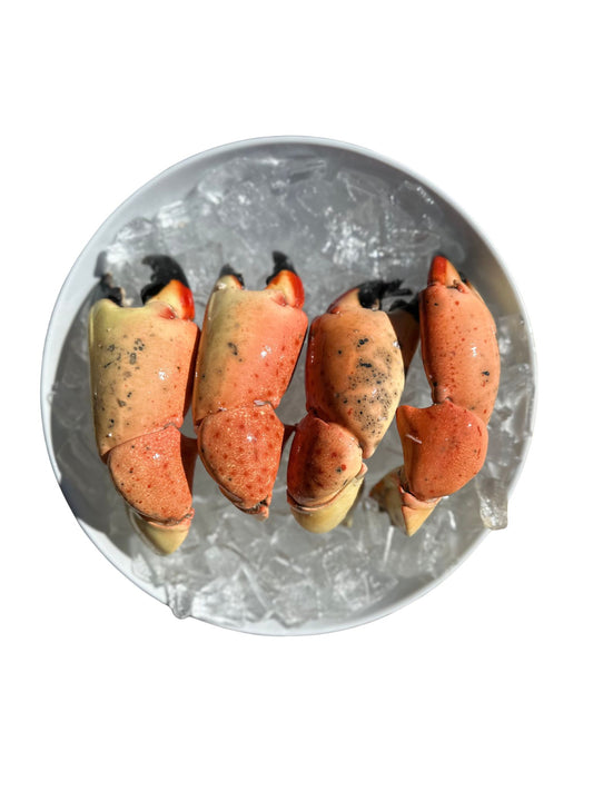 Large Stone Crab Claws