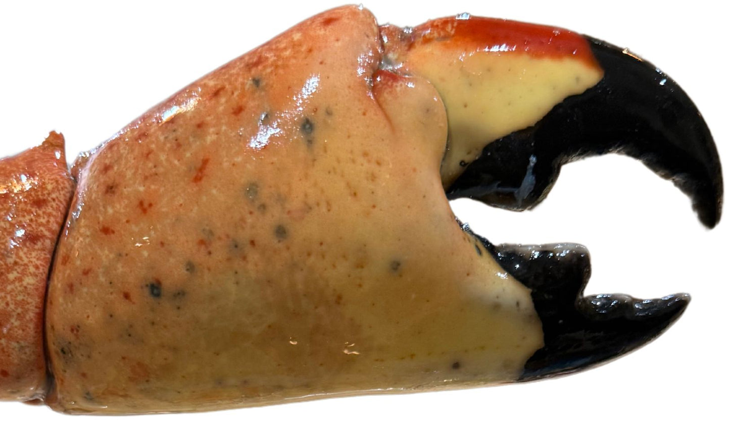 Colossal Stone Crab Claws